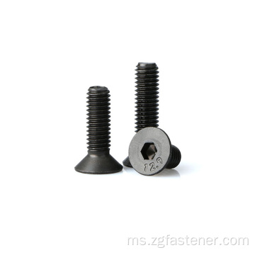 Karbon Hex Socket Hex Countersunk Head Screws